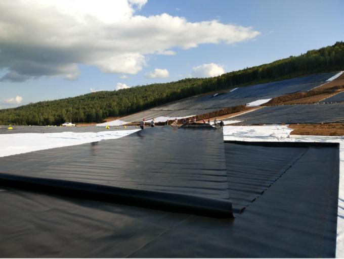 Duración Requisito del cliente Geomembrana HDPE impermeable para piscifactoría 7