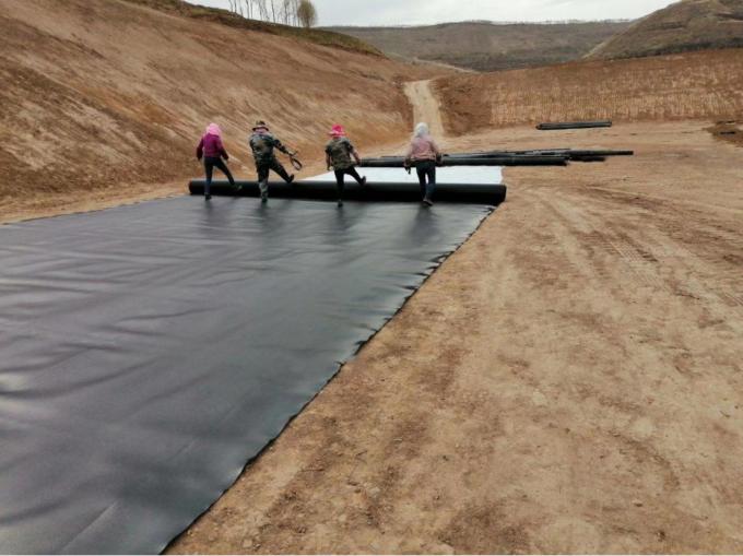Duración Requisito del cliente Geomembrana HDPE impermeable para piscifactoría 9