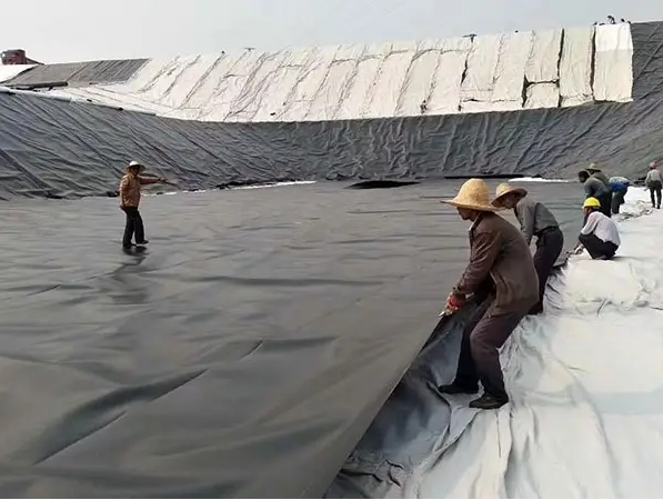 Duración Requisito del cliente Geomembrana HDPE impermeable para piscifactoría 6