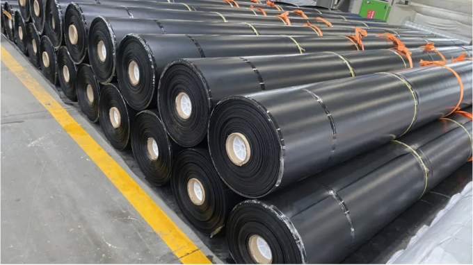 Duración Requisito del cliente Geomembrana HDPE impermeable para piscifactoría 12