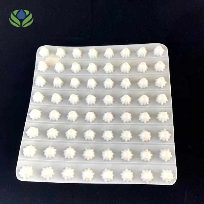 Rectángulo impermeable HDPE tablero de drenaje de membrana de hoyuelo para techo verde 1