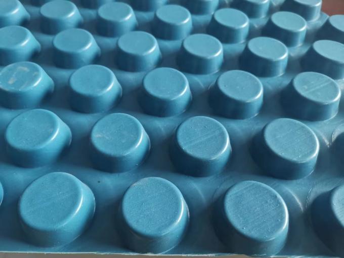 Rectángulo impermeable HDPE tablero de drenaje de membrana de hoyuelo para techo verde 3